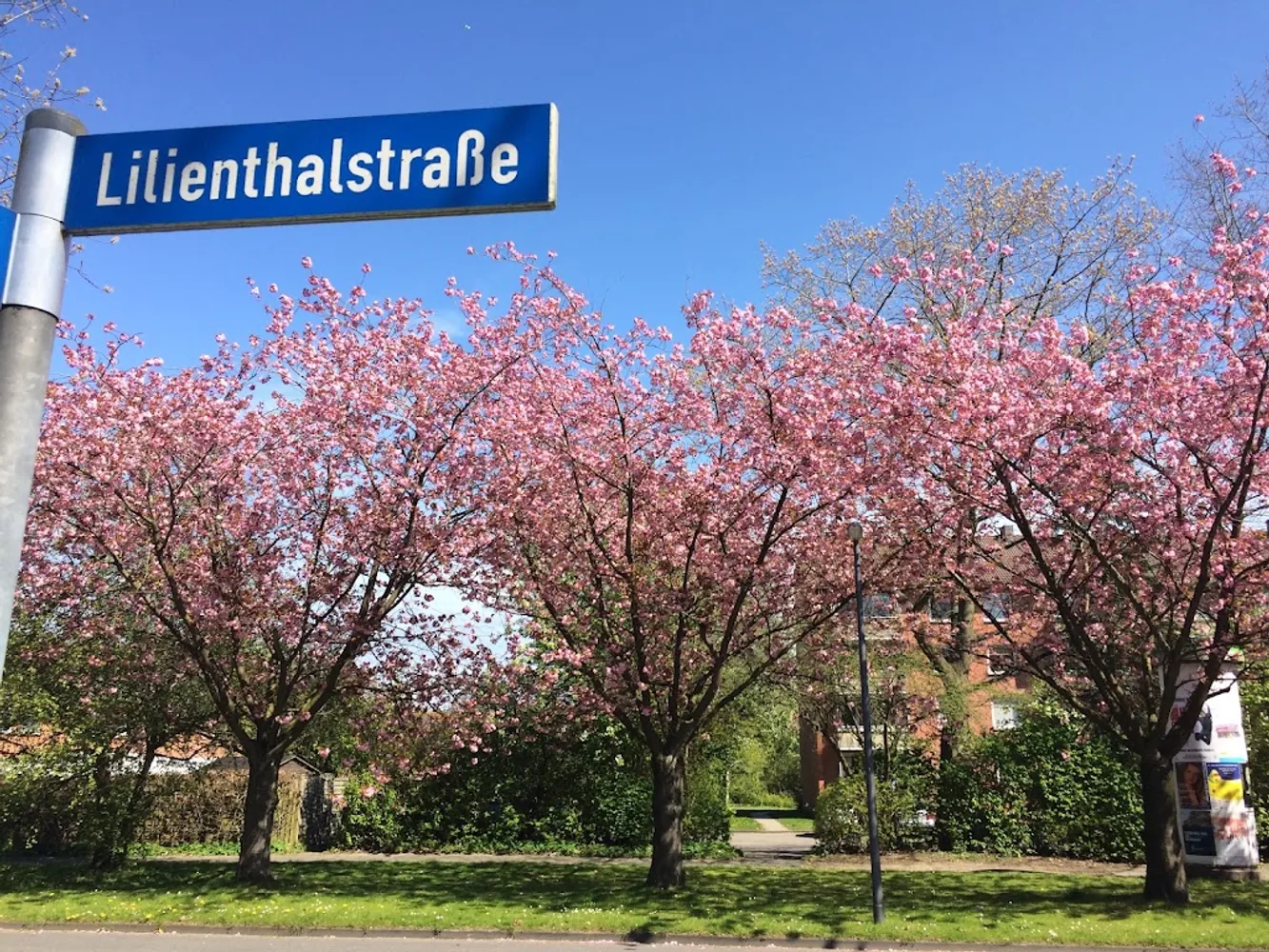 1 Zimmer Wohnung mit 35 m² in Kiel – Bild 3