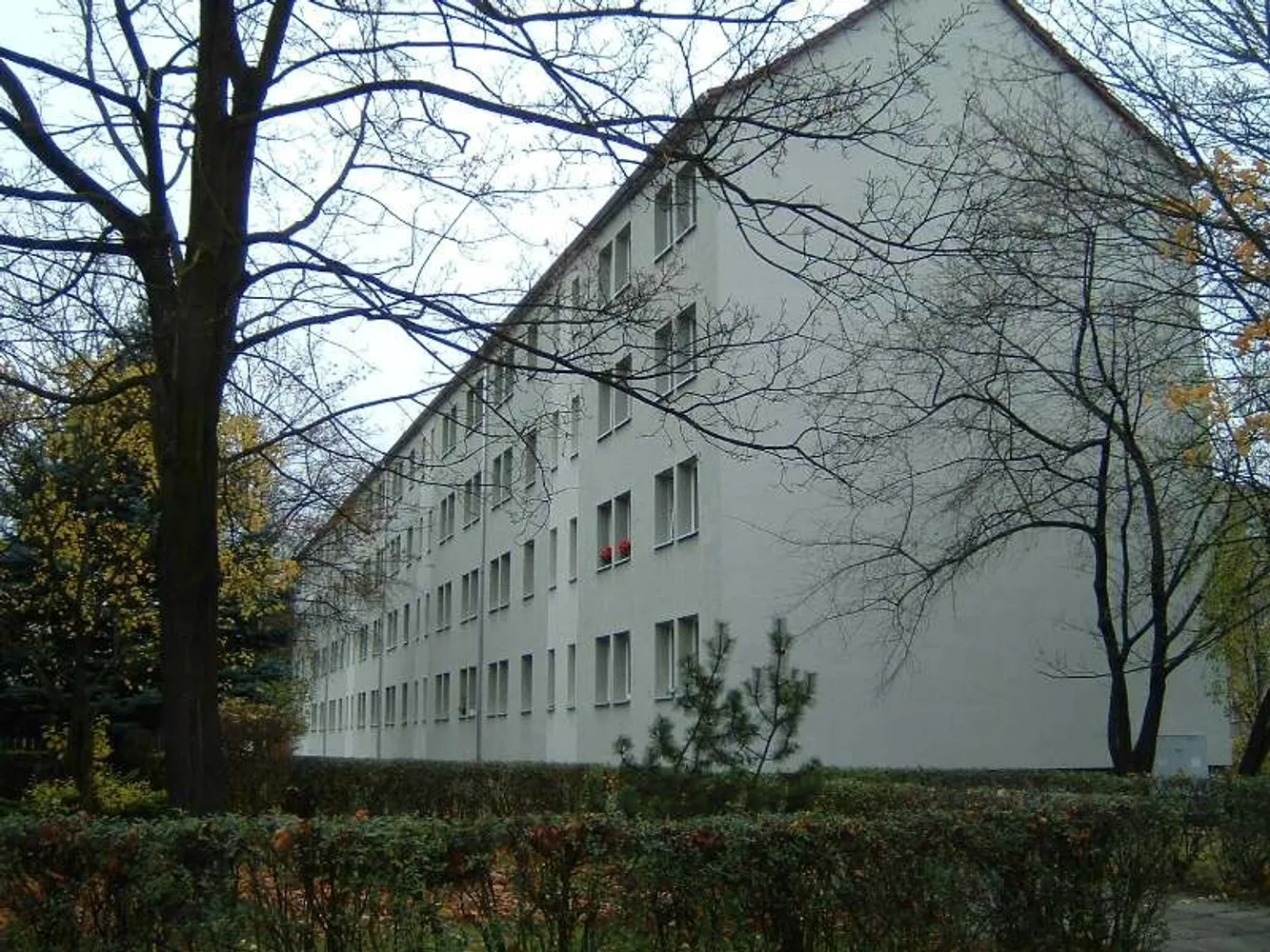 2 Zimmer Wohnung mit 41 m² in Finsterwalde – Bild 5