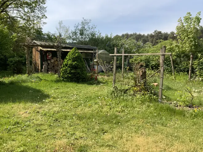 3 Zimmer Haus mit 100 m² in Wittenberg – Bild 7