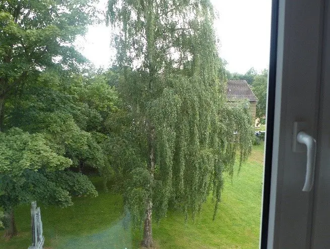 3 Zimmer Wohnung mit 70 m² in Kiel – Bild 8