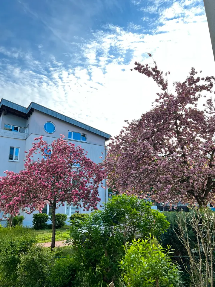 2 Zimmer Wohnung mit 61 m² in Werder (Havel) – Bild 8