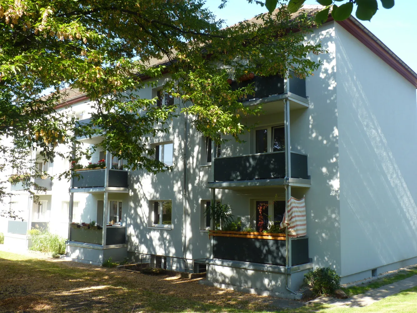 3 Zimmer Wohnung mit 69 m² in Dresden – Bild 2