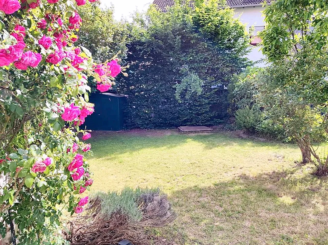 5 Zimmer Haus mit 140 m² in Hofheim am Taunus – Bild 2