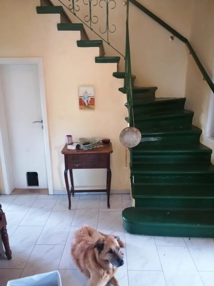 WG-Zimmer mit 170 m² in Senftenberg – Bild 5