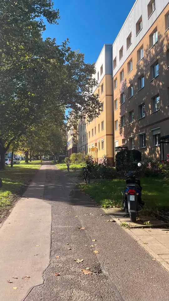 3 Zimmer Wohnung mit 67 m² in Magdeburg – Bild 8