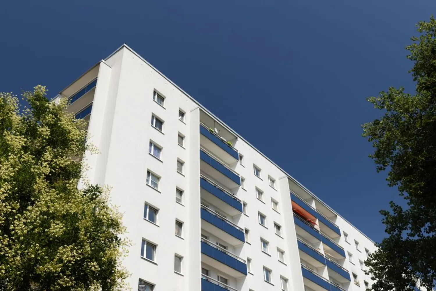 3 Zimmer Wohnung mit 58 m² in Halle (Saale) – Bild 4