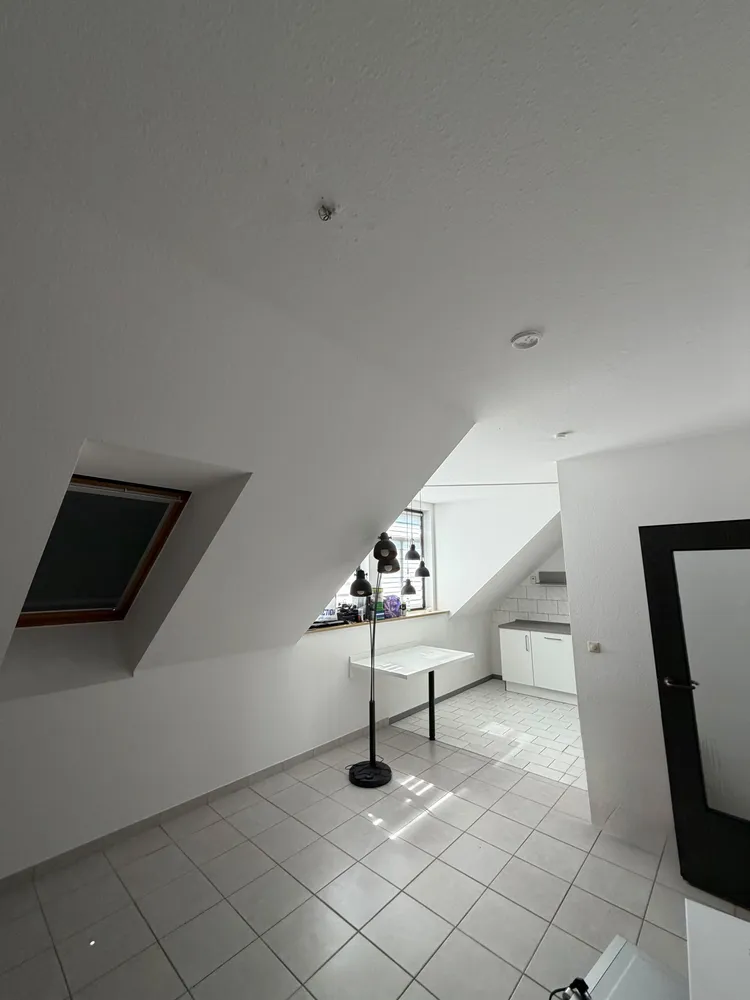 2 room apartment with 48 m² in Chemnitz – Photo 5