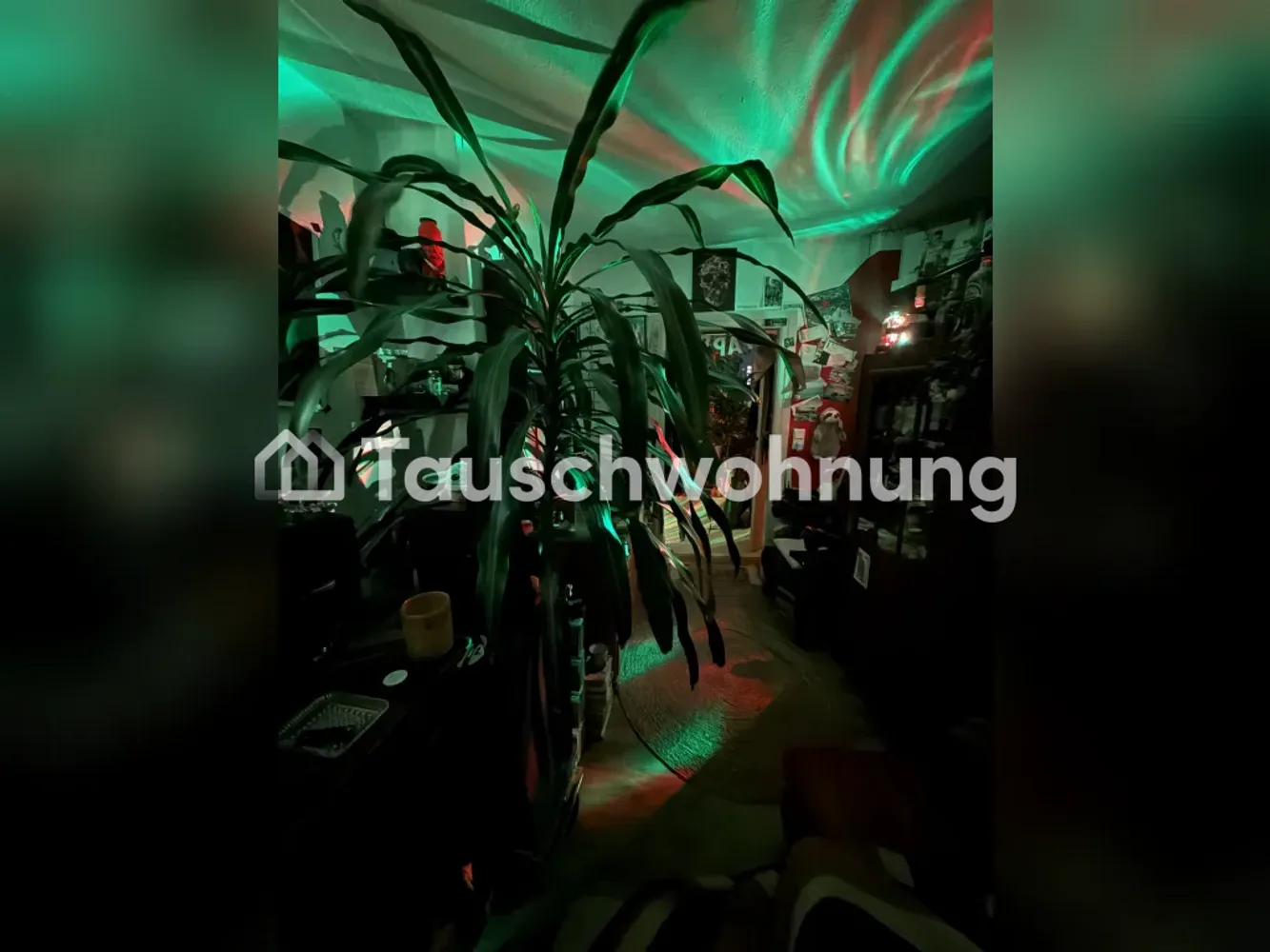3 Zimmer Wohnung mit 40 m² in Oldenburg – Bild 3