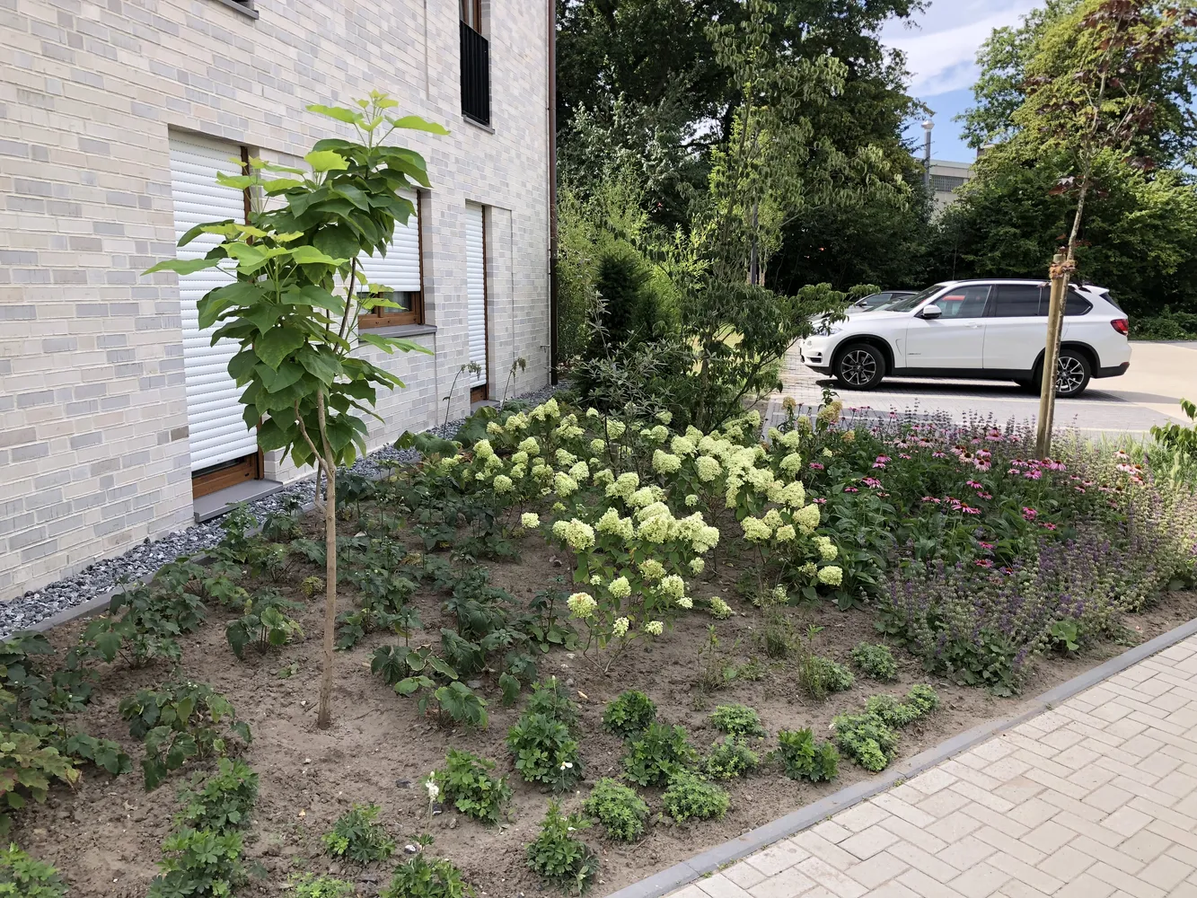 3 Zimmer Wohnung mit 94 m² in Münster – Bild 2