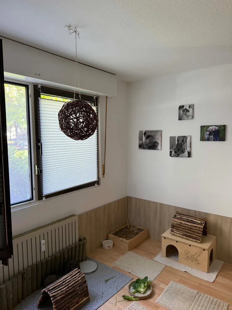 3 Zimmer Wohnung mit 73 m² in Köln – Bild 11