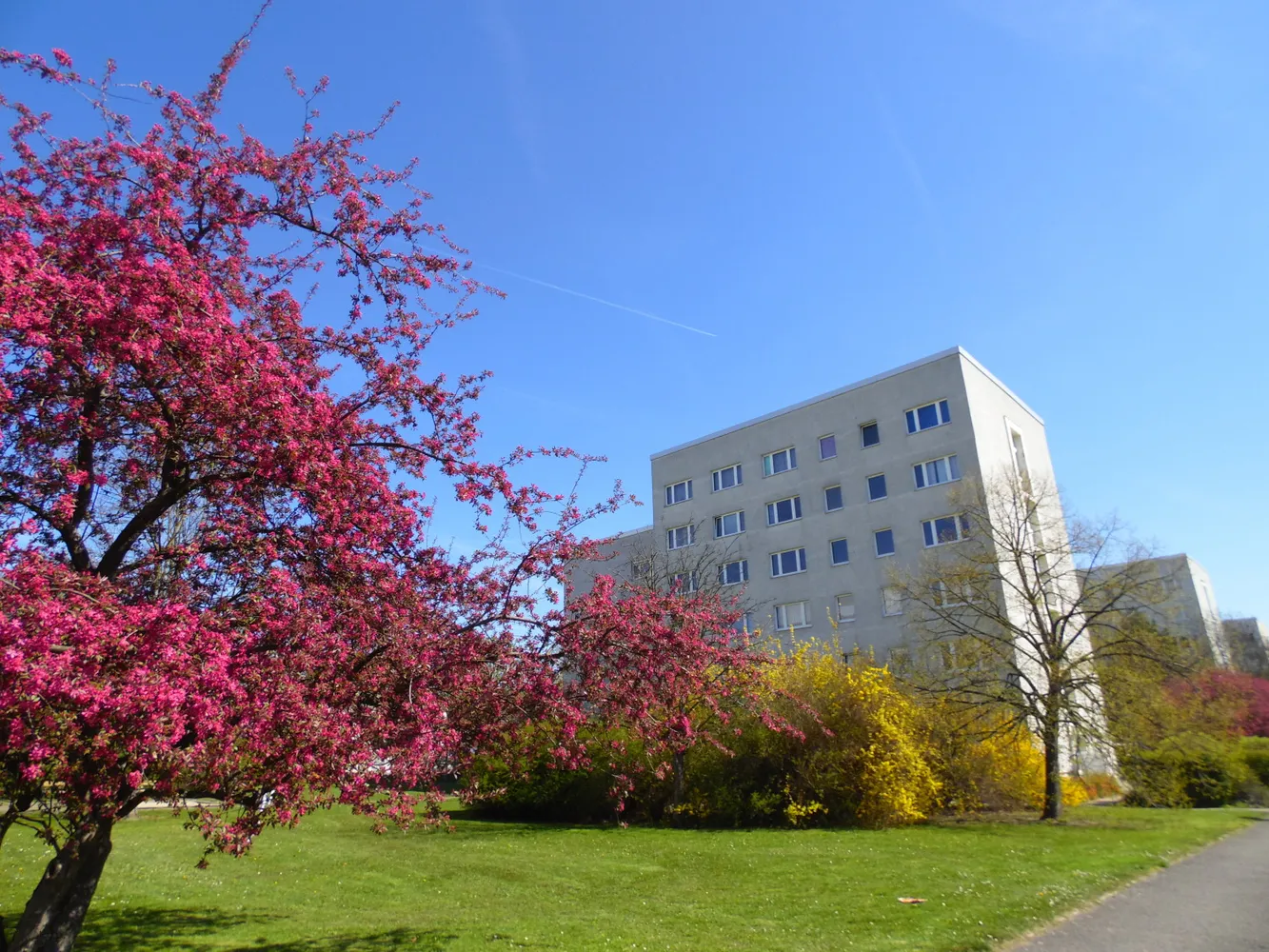 1 Zimmer Wohnung mit 28 m² in Leipzig – Bild 7