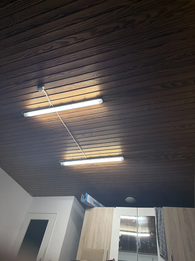 3 Zimmer Wohnung mit 100 m² in Freiburg im Breisgau – Bild 2