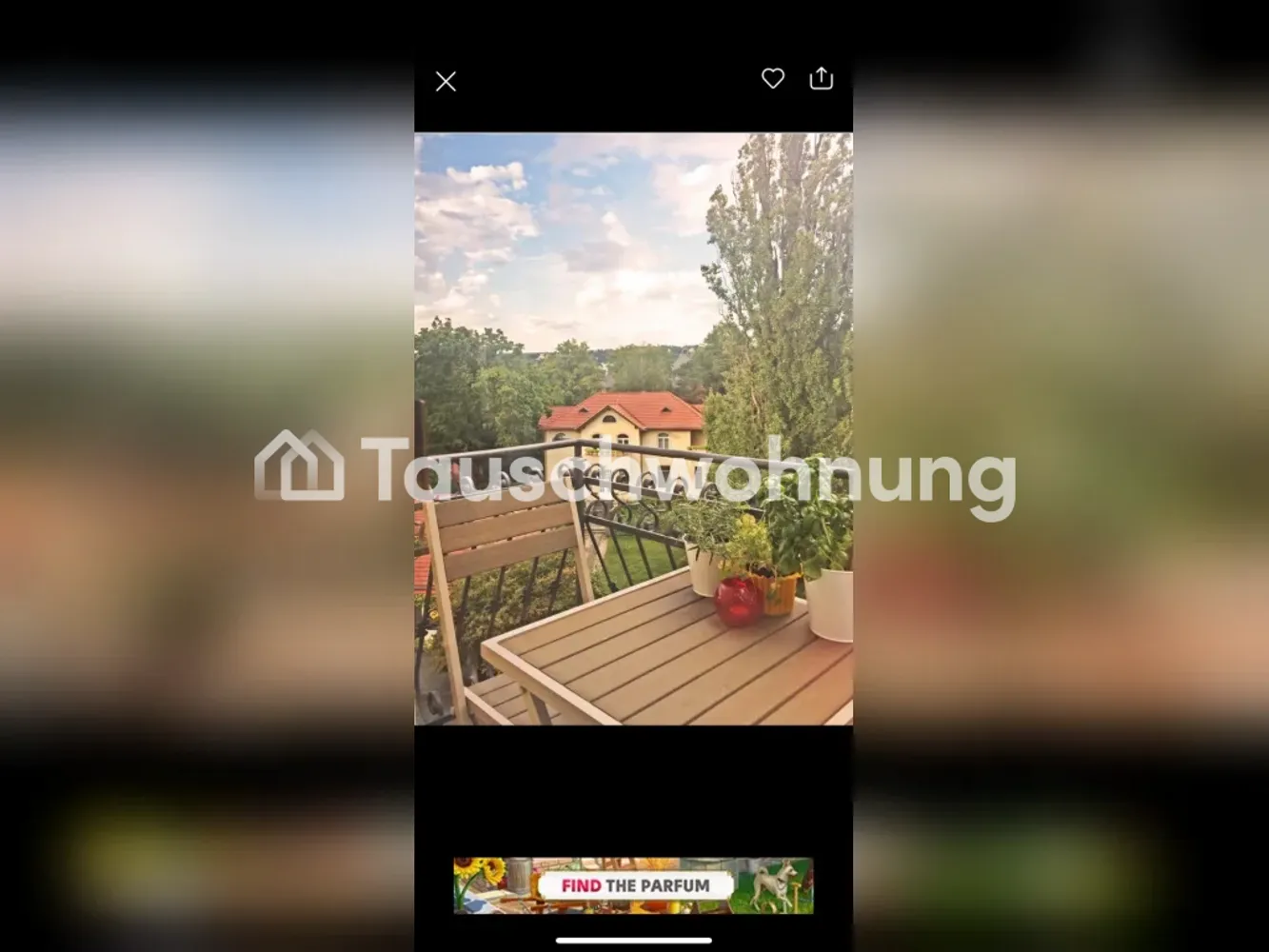 3 Zimmer Wohnung mit 83 m² in Dresden – Bild 7