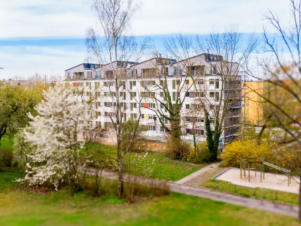 3 Zimmer Wohnung mit 98 m² in Zwickau – Bild 4
