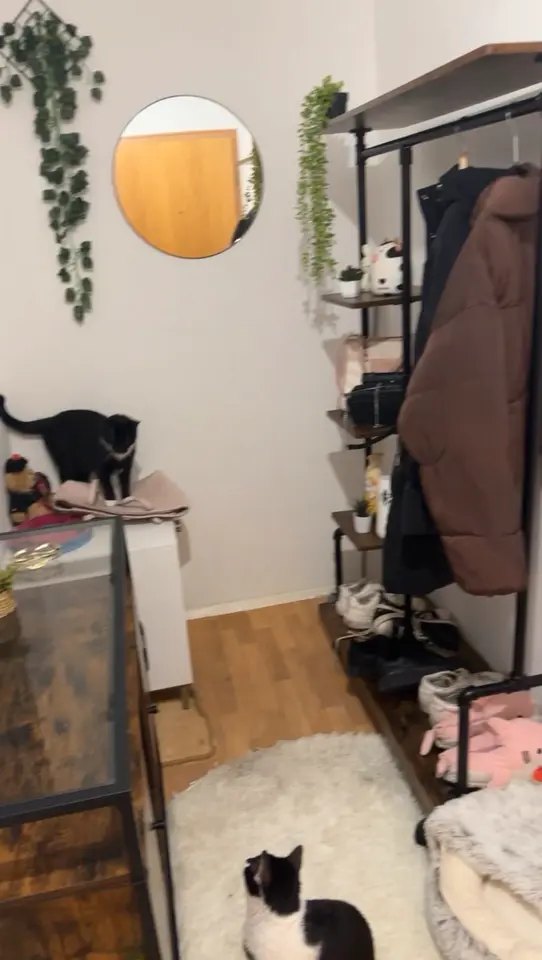 2 Zimmer Wohnung mit 45 m² in Delitzsch – Bild 4