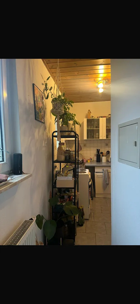 1 Zimmer Wohnung mit 29 m² in Landau in der Pfalz – Bild 4