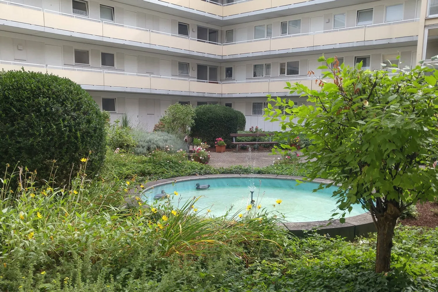 3 room apartment with 72 m² in Bonn – Photo 2