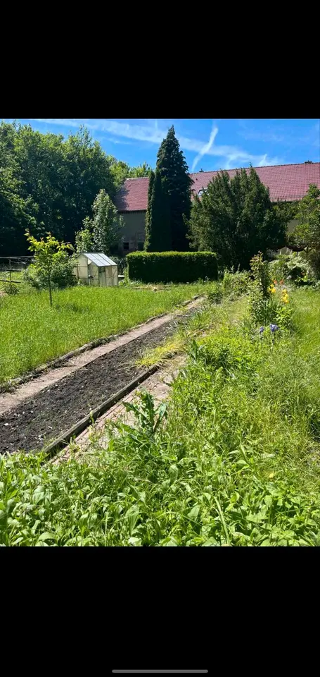 WG-Zimmer mit 500 m² in Grimma – Bild 10