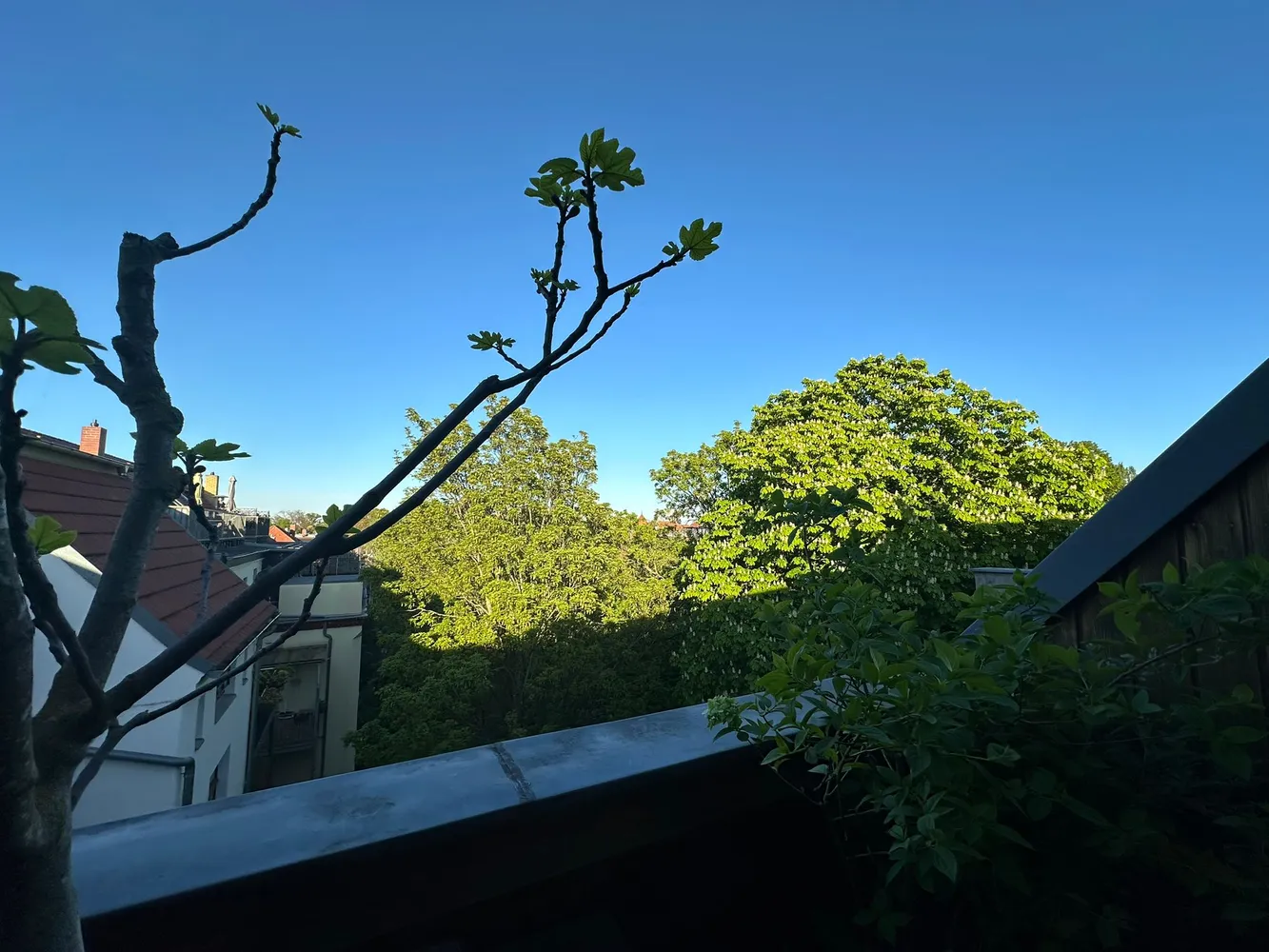 3 Zimmer Wohnung mit 106 m² in Leipzig – Bild 11