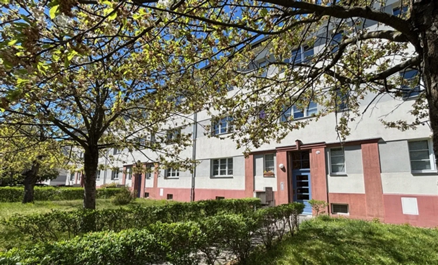 3 Zimmer Wohnung mit 65 m² in Dresden – Bild 5