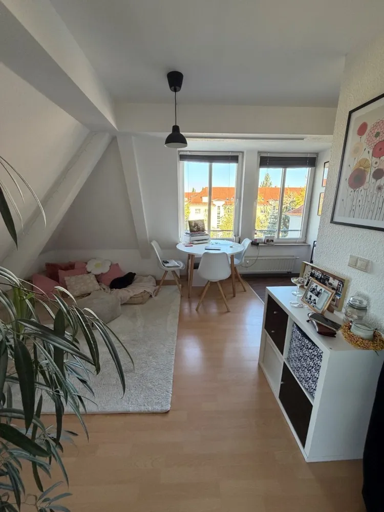 1 Zimmer Wohnung mit 35 m² in Dresden – Bild 9
