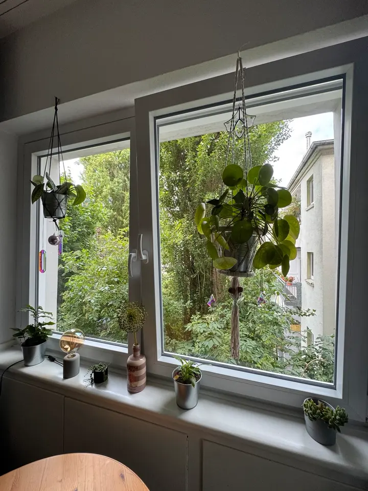 2 Zimmer Wohnung mit 41 m² in Essen – Bild 6