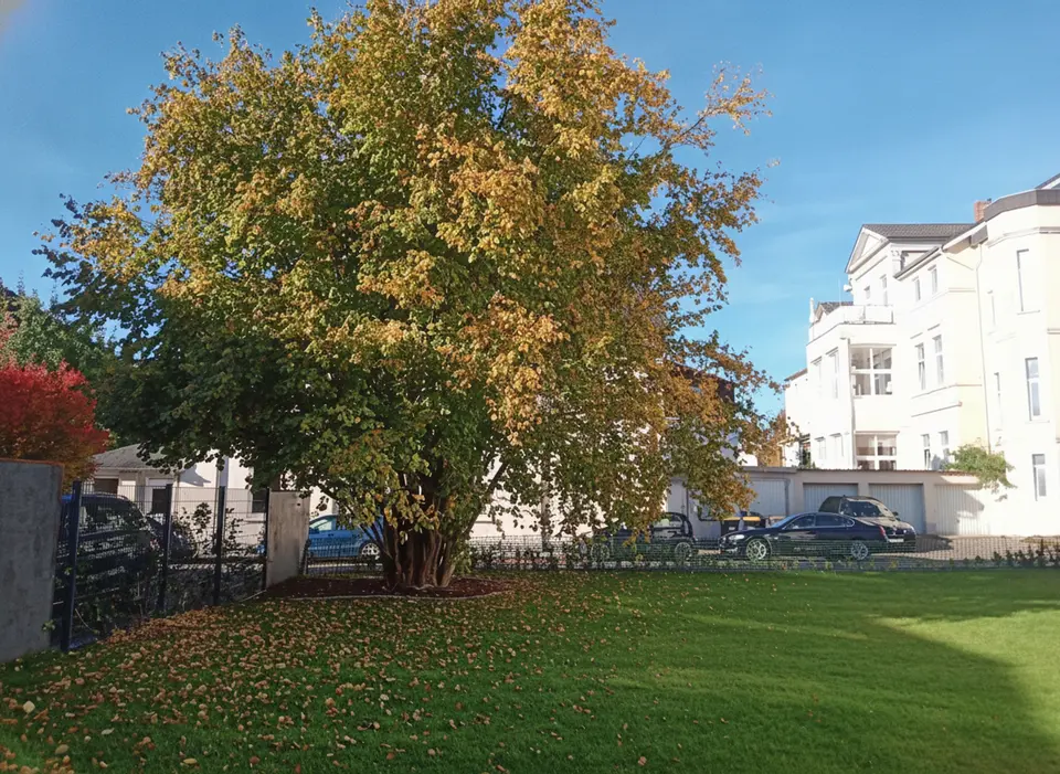 9 Zimmer Wohnung mit 192 m² in Minden – Bild 10