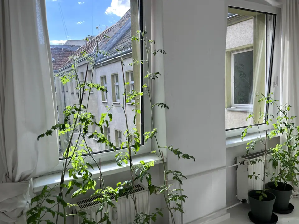 2 Zimmer Wohnung mit 42 m² in Berlin – Bild 4