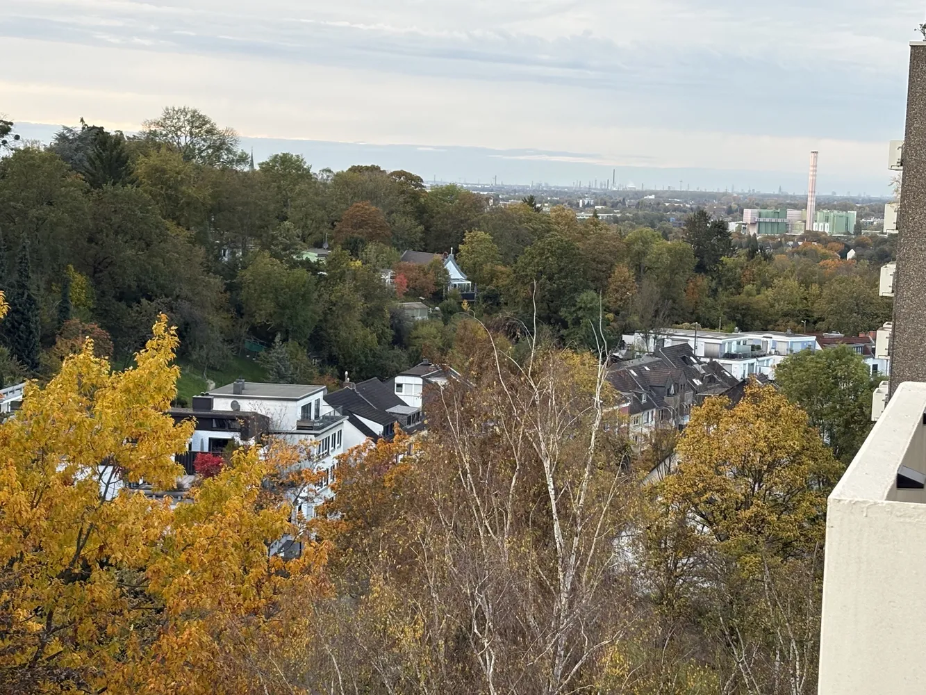 1 Zimmer Wohnung mit 31 m² in Bonn – Bild 9