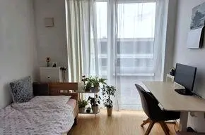 2 Zimmer Wohnung mit 20 m² in Mainz – Bild 2