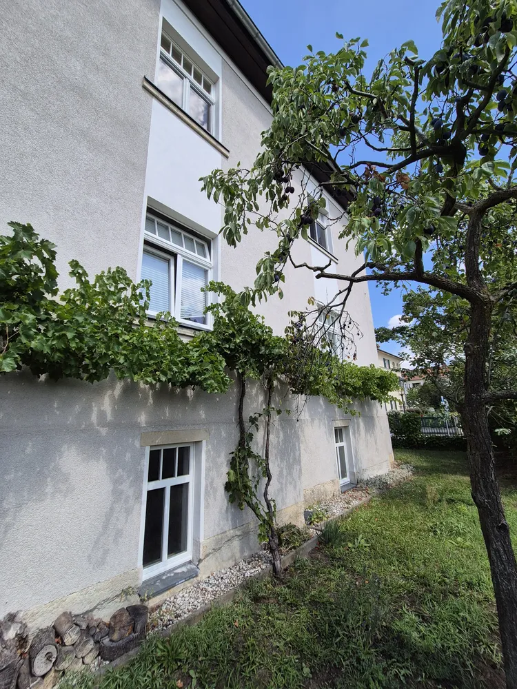 3 Zimmer Wohnung mit 97 m² in Dresden – Bild 10