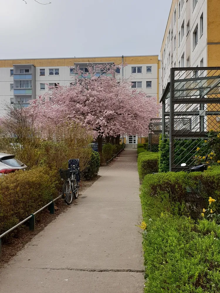 4 room apartment with 76 m² in Berlin – Photo 2