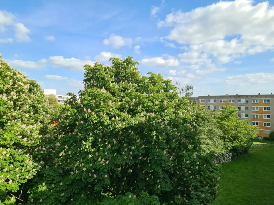 2 Zimmer Wohnung mit 50 m² in Halle (Saale) – Bild 8