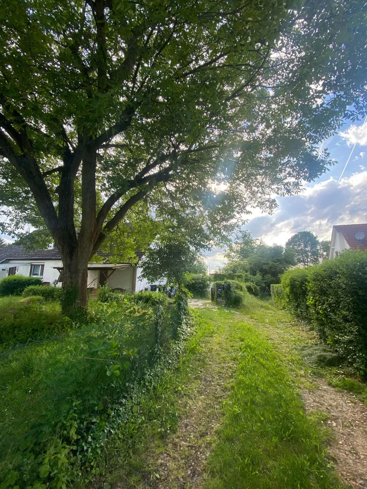 7 room house with 112 m² in Wiesbaden – Photo 7