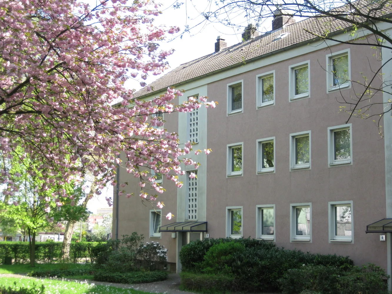 2 Zimmer Wohnung mit 41 m² in Gelsenkirchen – Bild 7
