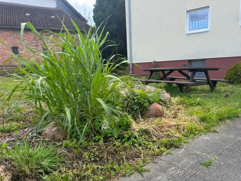 2 Zimmer Wohnung mit 50 m² in Wolfsburg – Bild 2