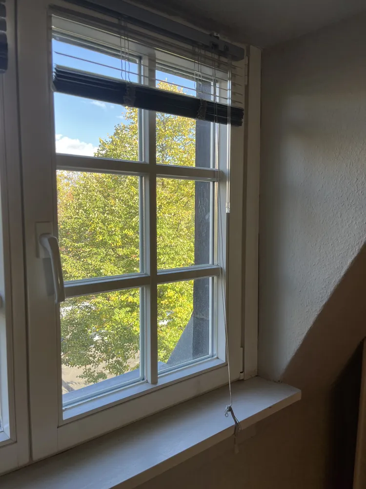 3 Zimmer Wohnung mit 75 m² in Köln – Bild 3