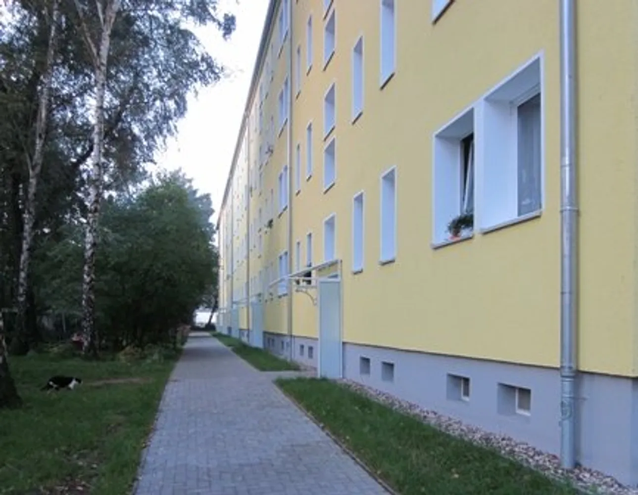 2 Zimmer Wohnung mit 48 m² in Magdeburg – Bild 5