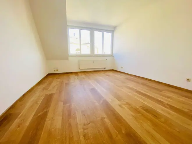 3 Zimmer Wohnung mit 65 m² in Dresden – Bild 2