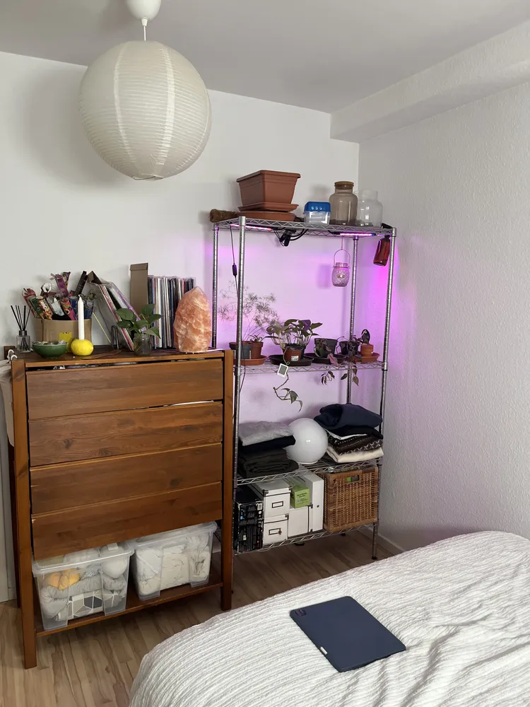 2 room apartment with 32 m² in Frankfurt am Main – Photo 3