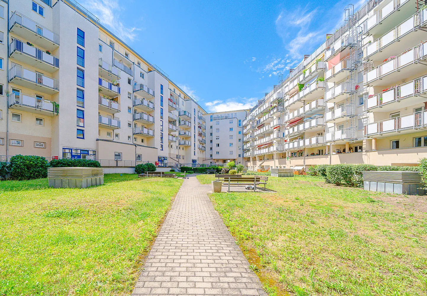 2 Zimmer Wohnung mit 74 m² in Dresden – Bild 6