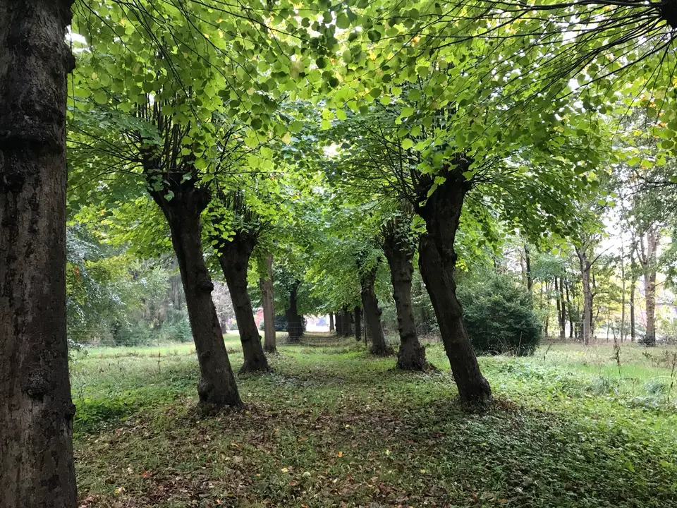 WG-Zimmer mit 20 m² in Bremen – Bild 7