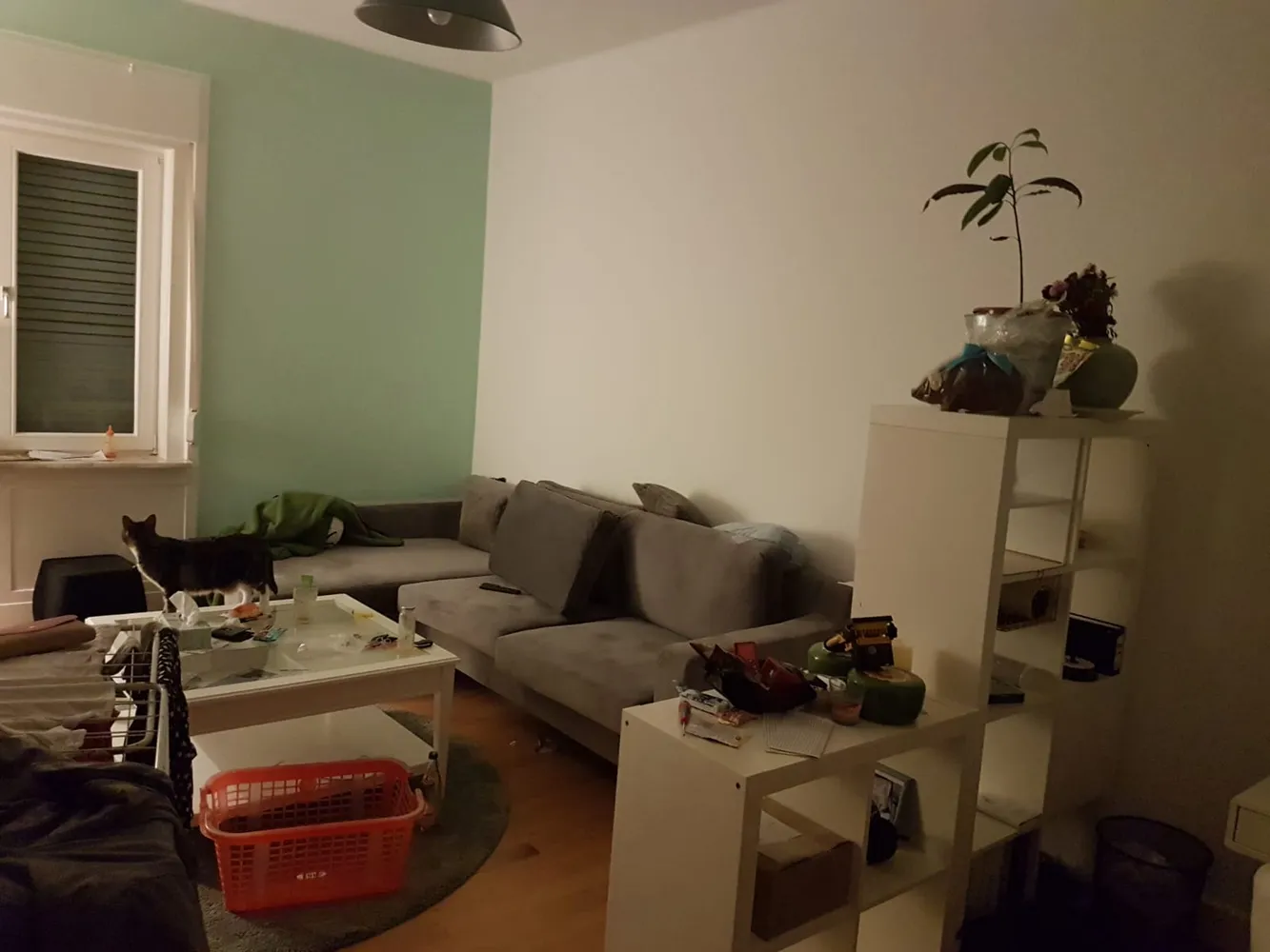 2 Zimmer Wohnung mit 70 m² in Wiesbaden – Bild 6