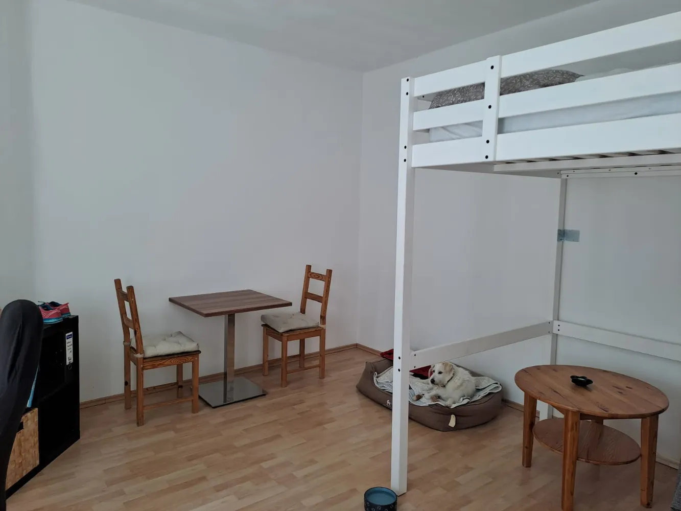1 Zimmer Wohnung mit 27 m² in Magdeburg – Bild 1