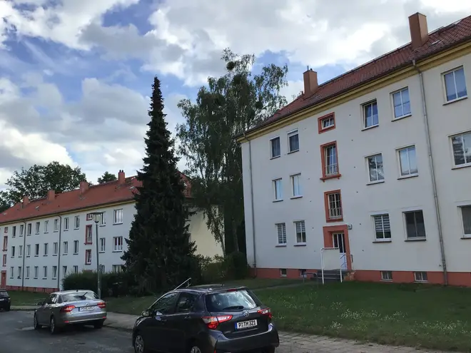 4 Zimmer Wohnung mit 80 m² in Potsdam – Bild 1