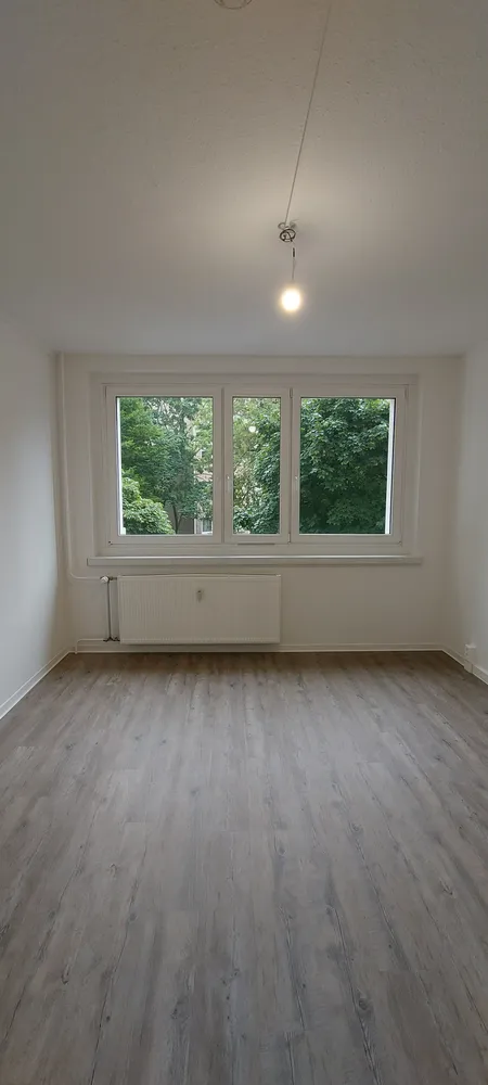 2 room apartment with 51 m² in Dresden – Photo 7