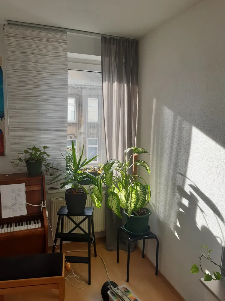 4 Zimmer Wohnung mit 135 m² in Solingen – Bild 4