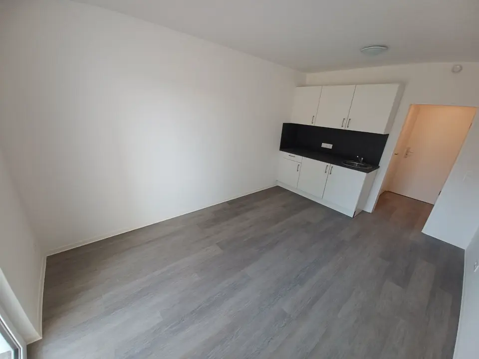 Studio mit 22 m² in Miltenberg – Bild 3