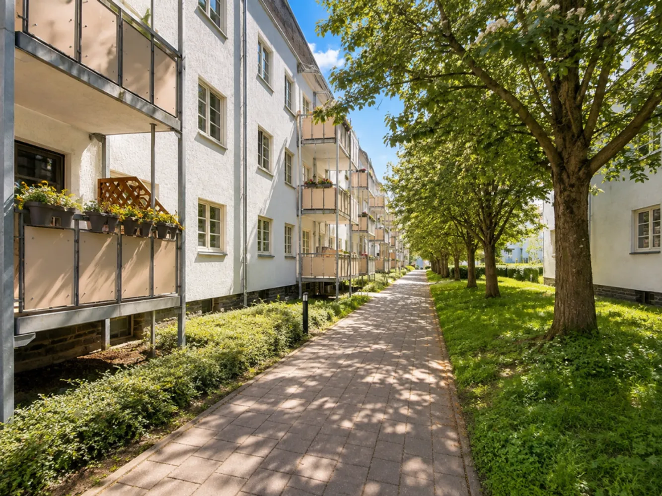 2 room apartment with 49 m² in Chemnitz – Photo 7
