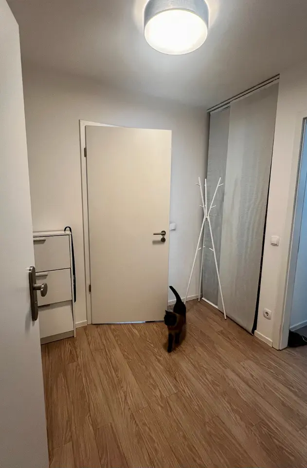 2 Zimmer Wohnung mit 50 m² in Dresden – Bild 7